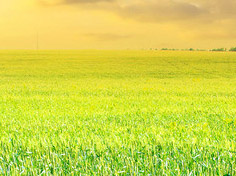 九游网页版入口基地展示1